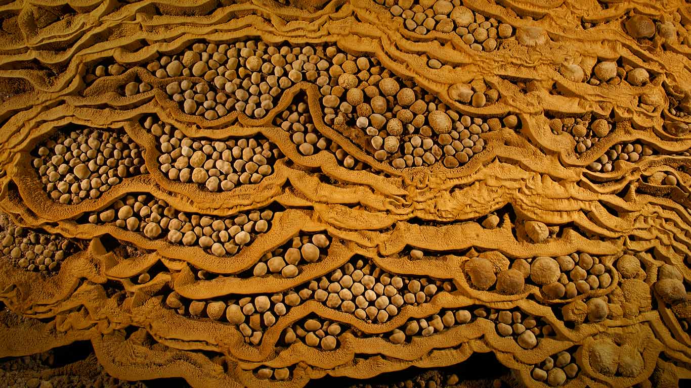 Rare cave pearls in Son Doong Cave at Phong Nha-Kẻ Bàng National Park, Vietnam (© Carsten Peter/Getty Images)(Bing United Kingdom)