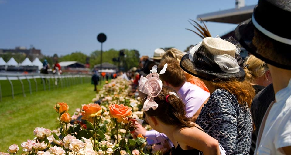 Jockey Damien Oliver riding Warringah leads the field past the post for the first time in the 2009 Emirates Melbourne Cup at Flemington Racecourse on November 3, 2009 in Melbourne, Australia -- Mark Dadswell/Getty Images &copy; (Bing Australia)
