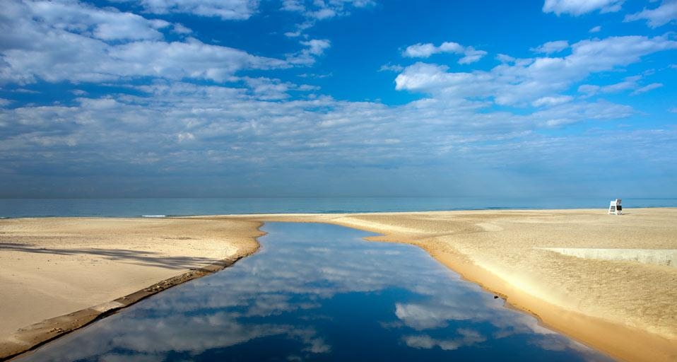 Indiana Dunes State Park, Dunes National Lakeshore in Porter, Indiana, U.S.A. (© Johnny Stockshooter/Aurora Photos) &copy; (Bing Canada)