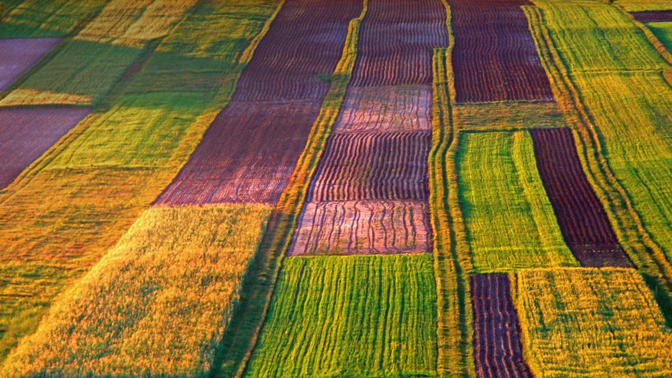 Ökologische Landwirtschaft in der Region Roztocze, Polen (© Marek Piotrowski/Alamy)(Bing Deutschland)