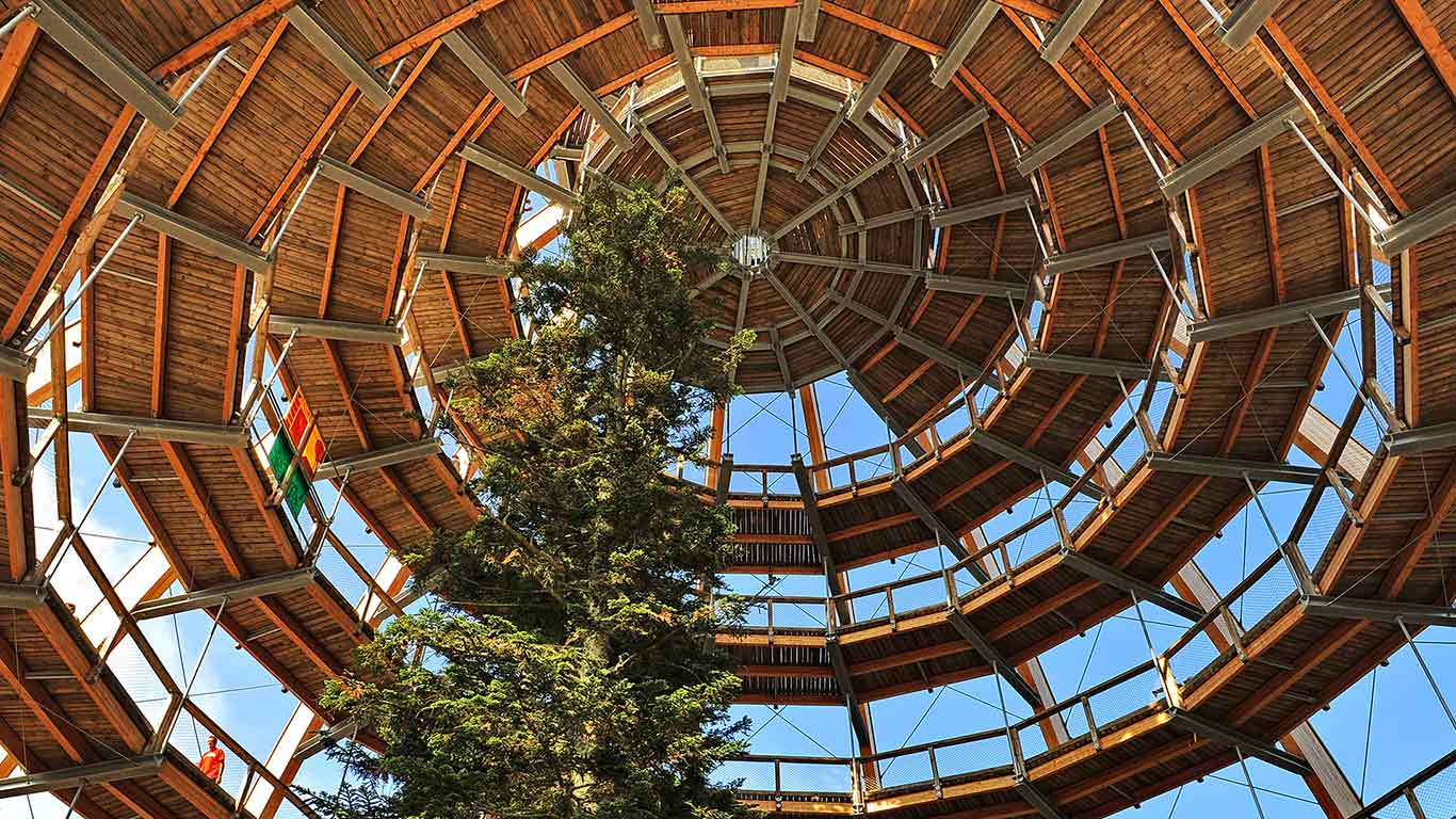 Baumwipfelpfad im Nationalpark Bayerischer Wald, Neuschönau, Bayern, Deutschland (© Dr. Rüdiger Hess/geo-select fotoArt)(Bing Deutschland)