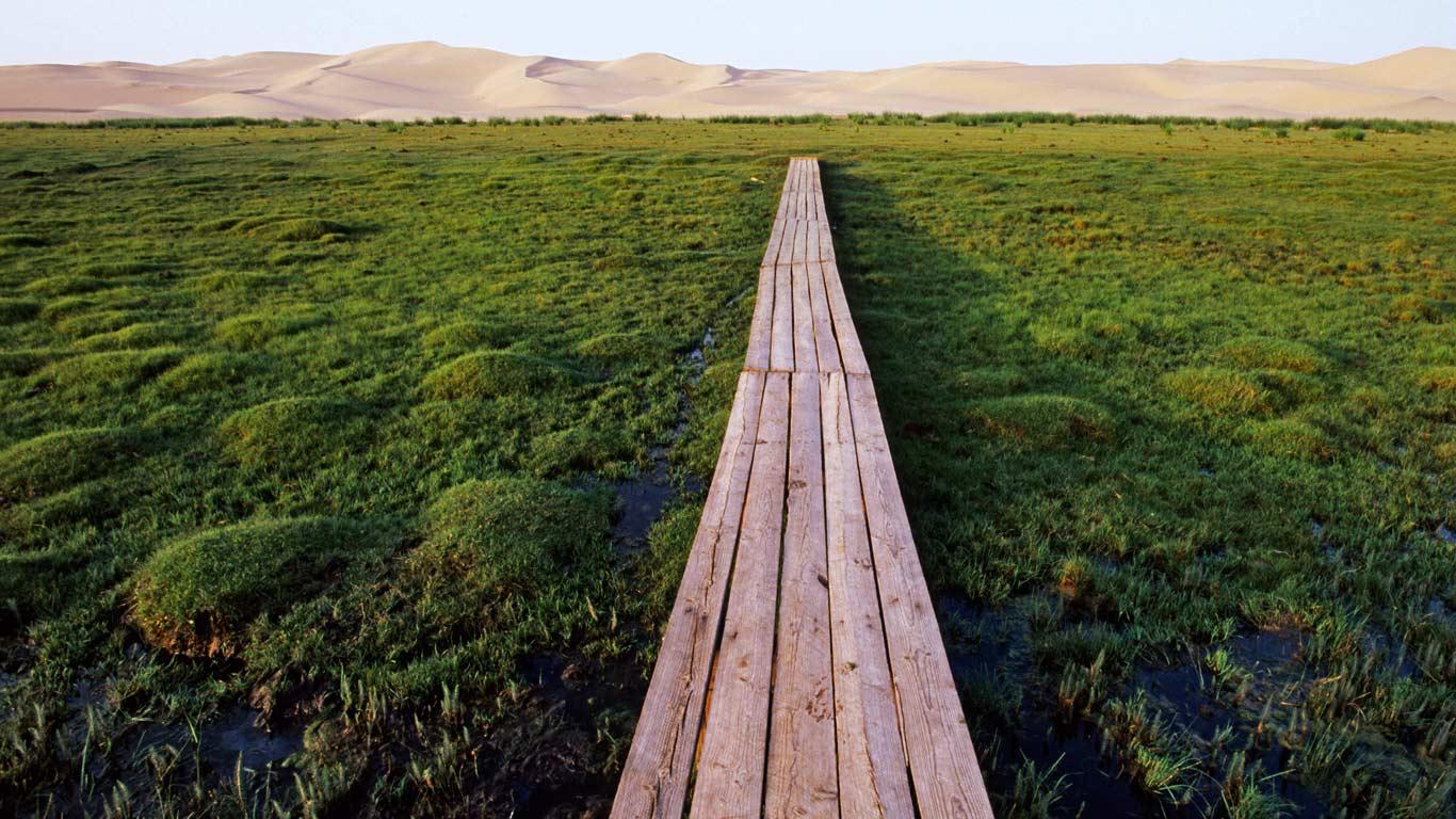 Bridge over a marshland near the Khongoryn Els Sand Dunes in the Gobi Desert, Mongolia (© Franck Guiziou/Hemis/Corbis)(Bing United Kingdom)