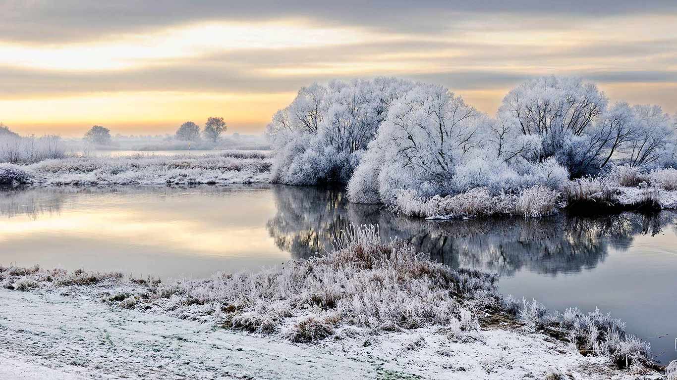 Von Raureif überzogene Elbe-Landschaft, Hamburg-Kirchwerder, Deutschland (© blickwinkel/Alamy Stock Photo)(Bing Deutschland)