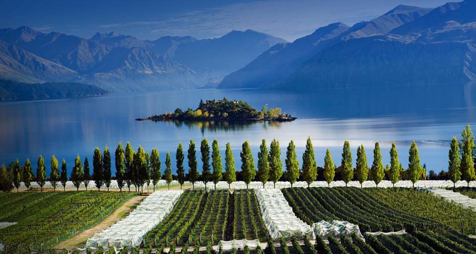 Rippon vineyards and Lake Wanaka, Central Otago, South Island, New Zealand -- SIME / eStock Photo &copy; (Bing Canada)