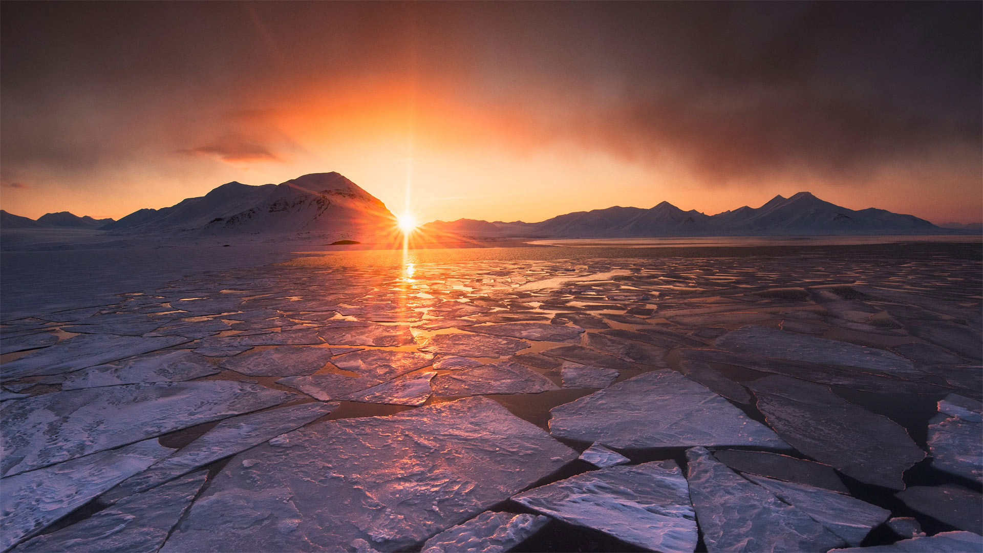 Soleil de minuit dans le Svalbard, Norvège (© Nature Picture Library/Alamy)(Bing France)