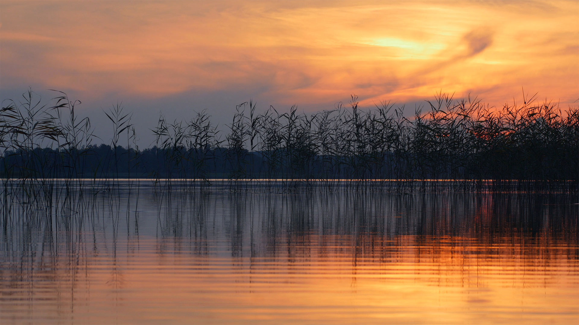 Water ripples on the surface of Ežezers Lake in the Latgale region, Latvia (© Eaglewood Films/Nimia)(Bing United Kingdom)