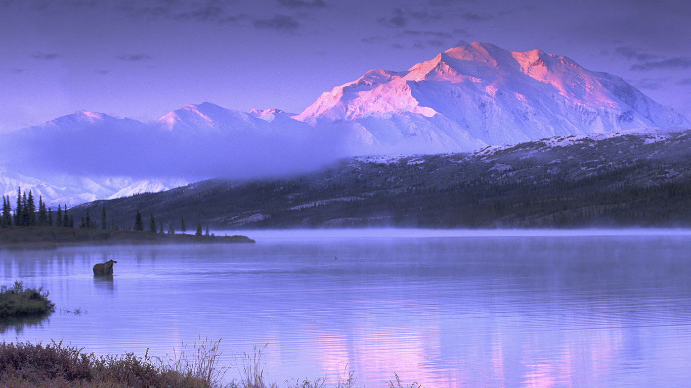Moose wading in Wonder Lake, Denali National Park and Preserve, Alaska (© Ira Meyer/Getty Images)(Bing United States)