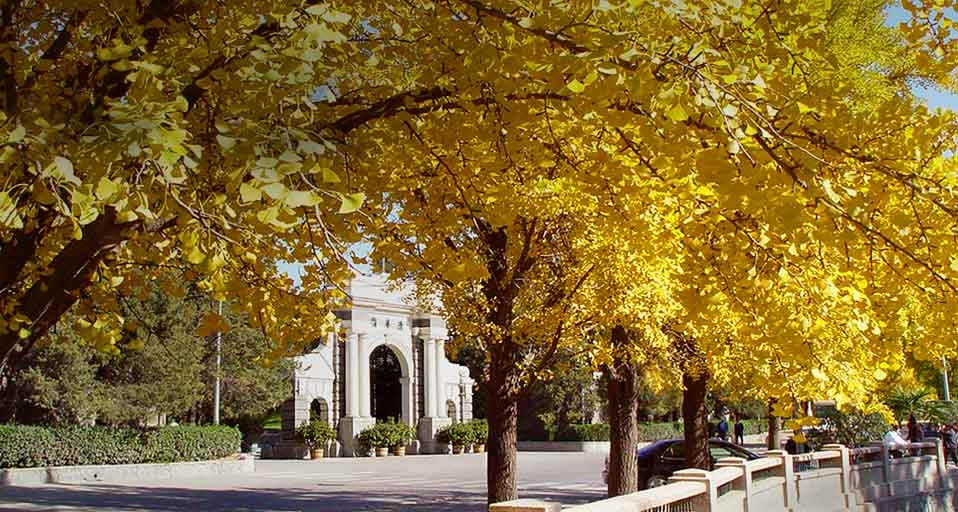 水木清华：清华大学的第一个校门 -- 清华大学/谢立军 &copy; (Bing China)