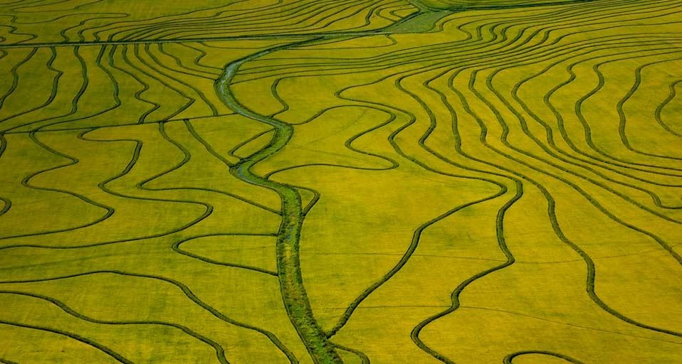 Reisfelder in der Luftaufnahme, Uruguay (© Guillermo Robles/Corbis) &copy; (Bing Germany)