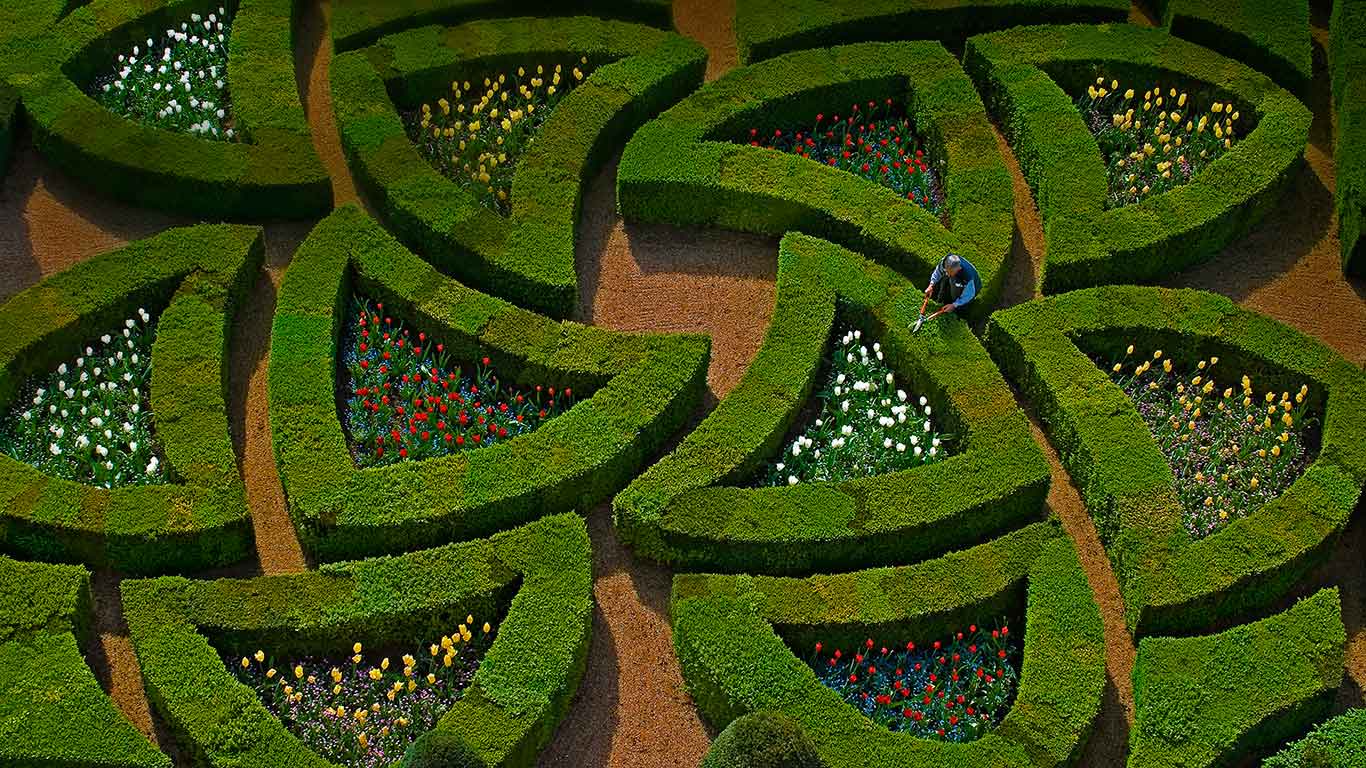 Gardens at Villandry Castle, Loire Valley, France (© Emilie Chaix/Getty Images)(Bing United Kingdom)