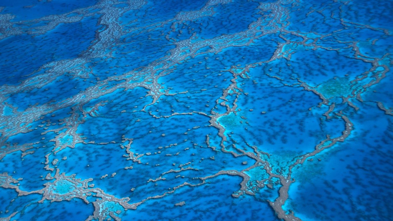 Aerial view of the Great Barrier Reef, Queensland, Australia (© Grant Faint/Getty Images)(Bing United Kingdom)