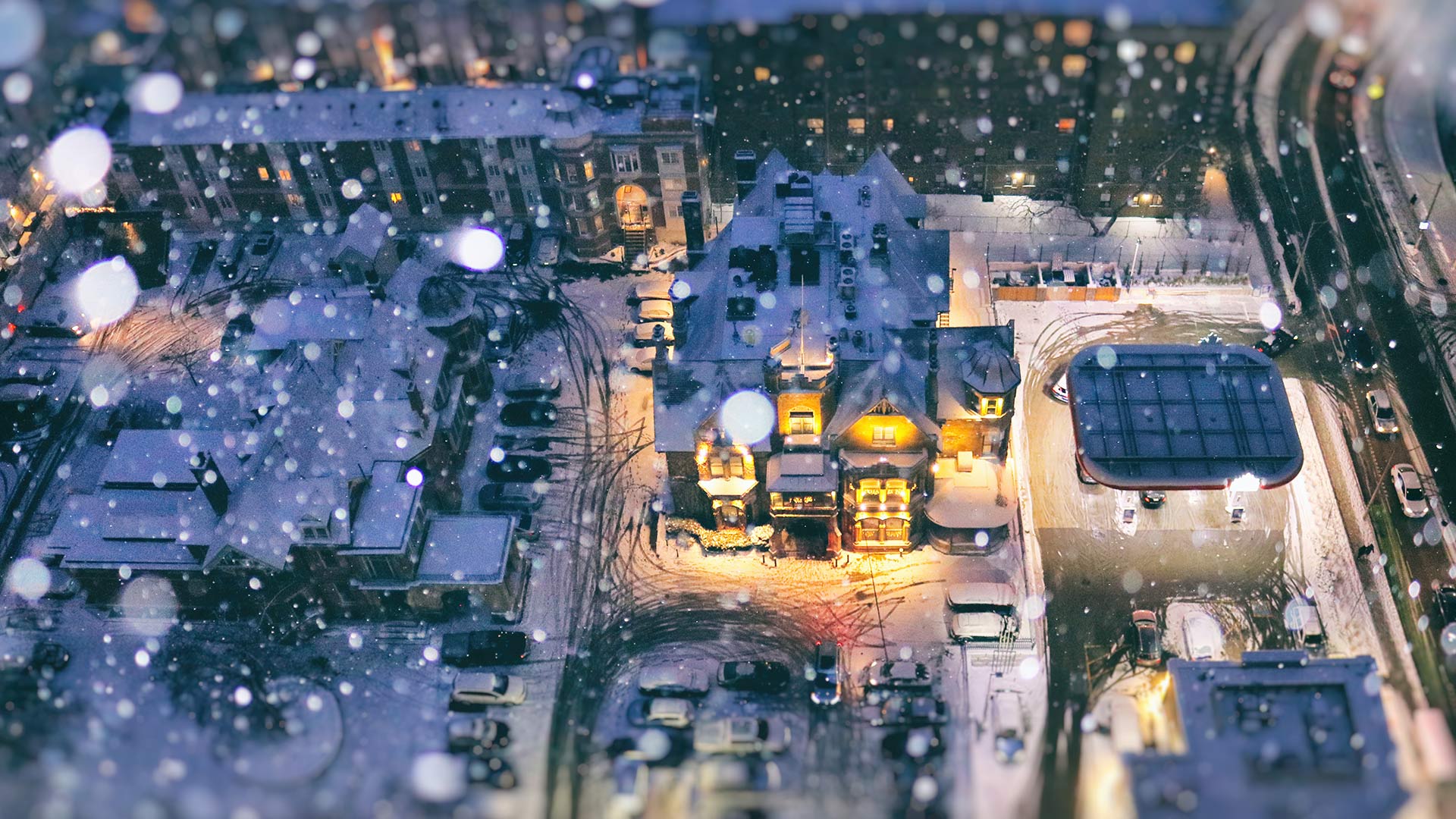 Aerial view of a residential area on a snow day during blue hour, Toronto (© Katrin Ray Shumakov/Getty Images)(Bing Canada)