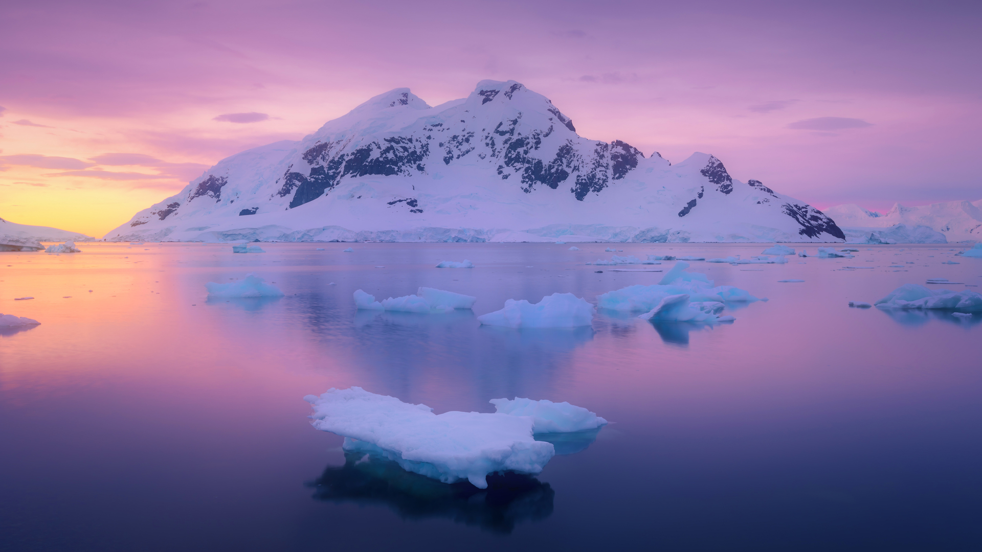 Paradise Harbour, Antarctica (© SinghaphanAllB/Getty Images)(Bing New Zealand)