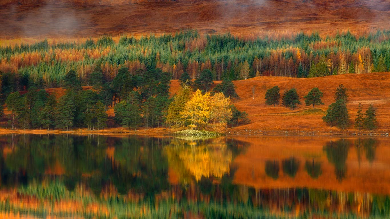 Larch trees at Loch Tulla in the Highlands of Scotland (© Fortunato Gatto/SIME/eStock Photo)(Bing United Kingdom)