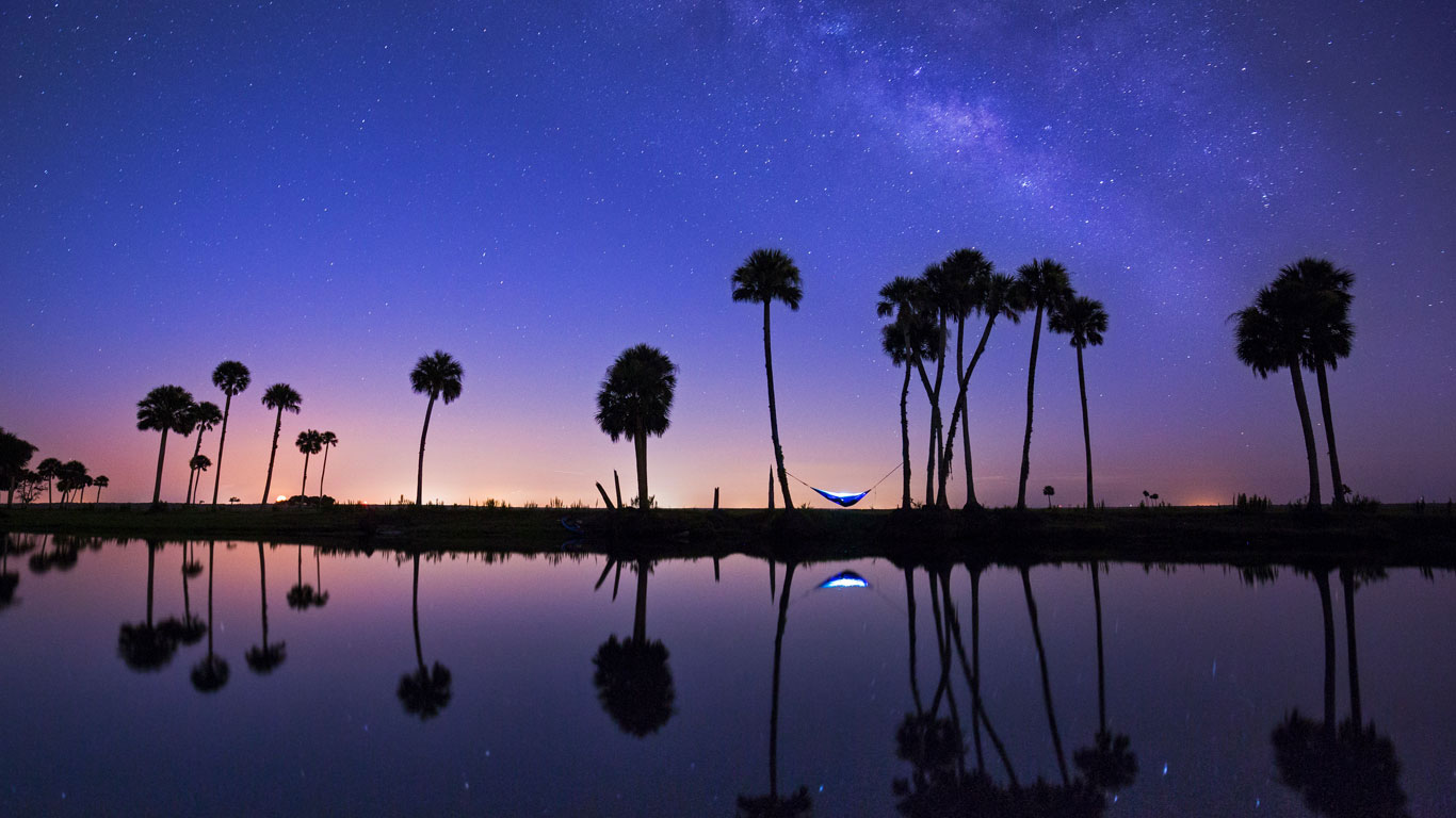 Hammock camping on the Econlockhatchee River in Florida, USA (© Mac Stone/Tandem Stills + Motion)(Bing United Kingdom)