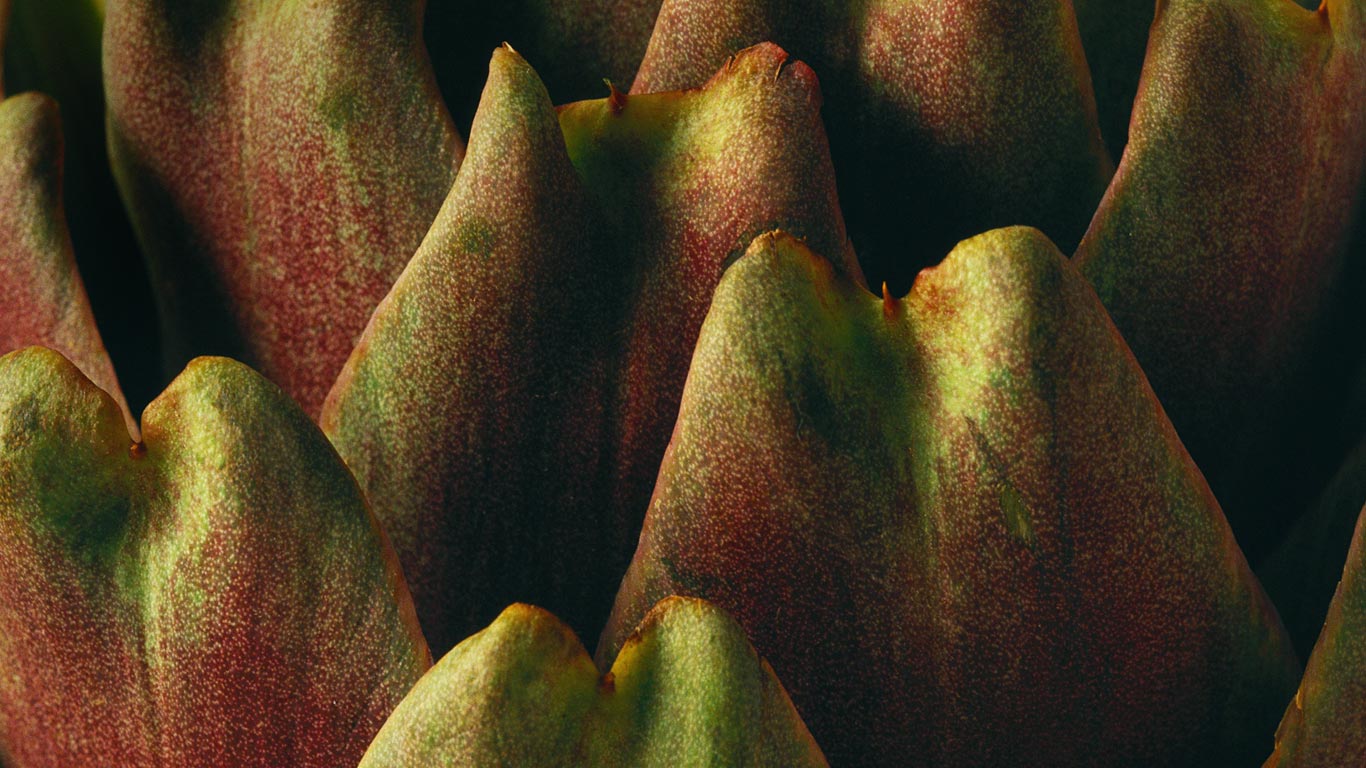 Close-up of an artichoke (© I. Rozenbaum & F. Cirou/Alamy)(Bing United States)