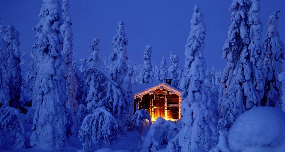 Snowy spruce forest with log cabin in Riisitunturi National Park, Finland (© Jan Tove Johansson/Getty Images) &copy; (Bing United Kingdom)