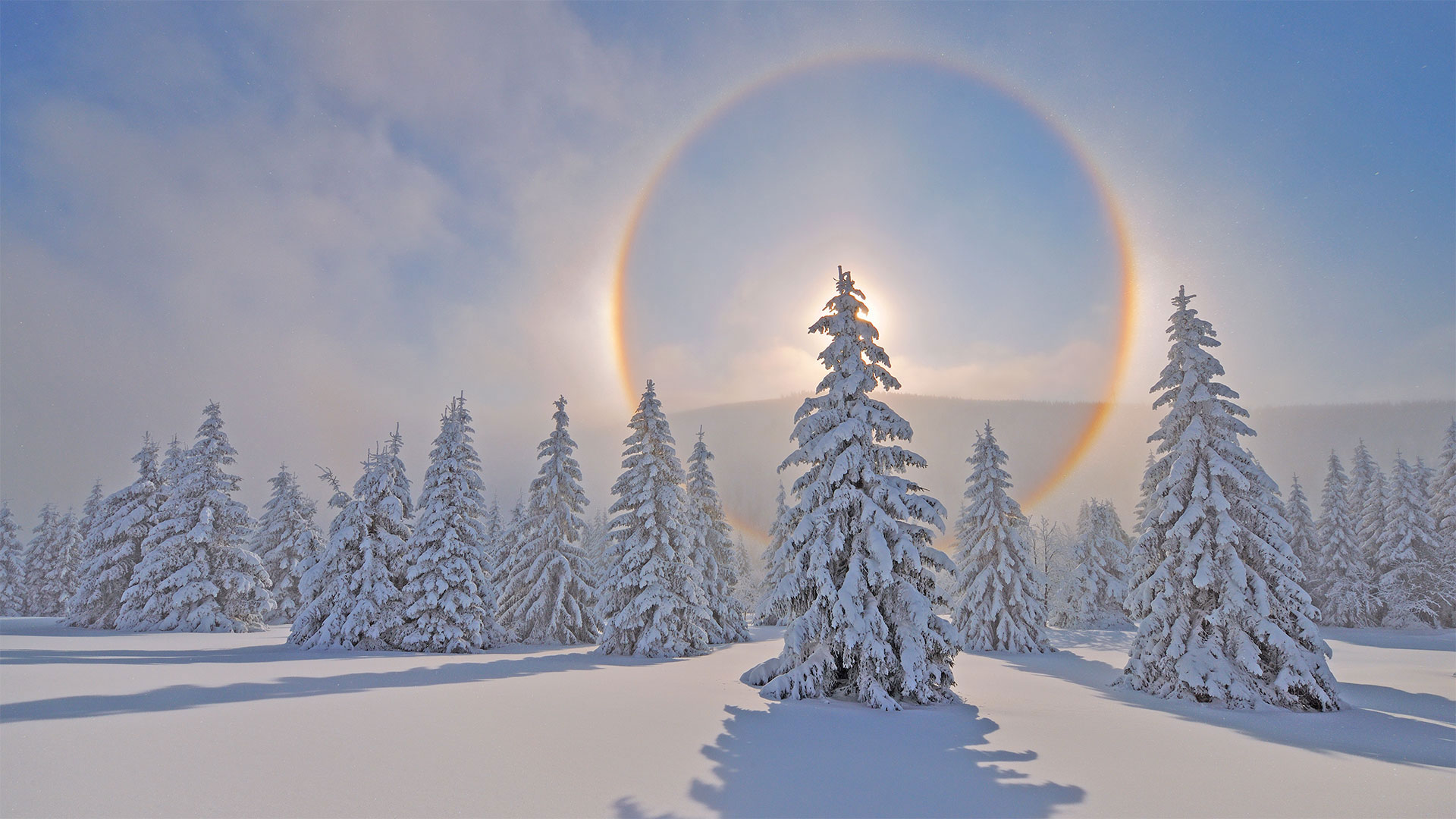 Halo around the sun in the Ore Mountains, Saxony, Germany (© Martin Ruegner/Getty Images)(Bing Canada)