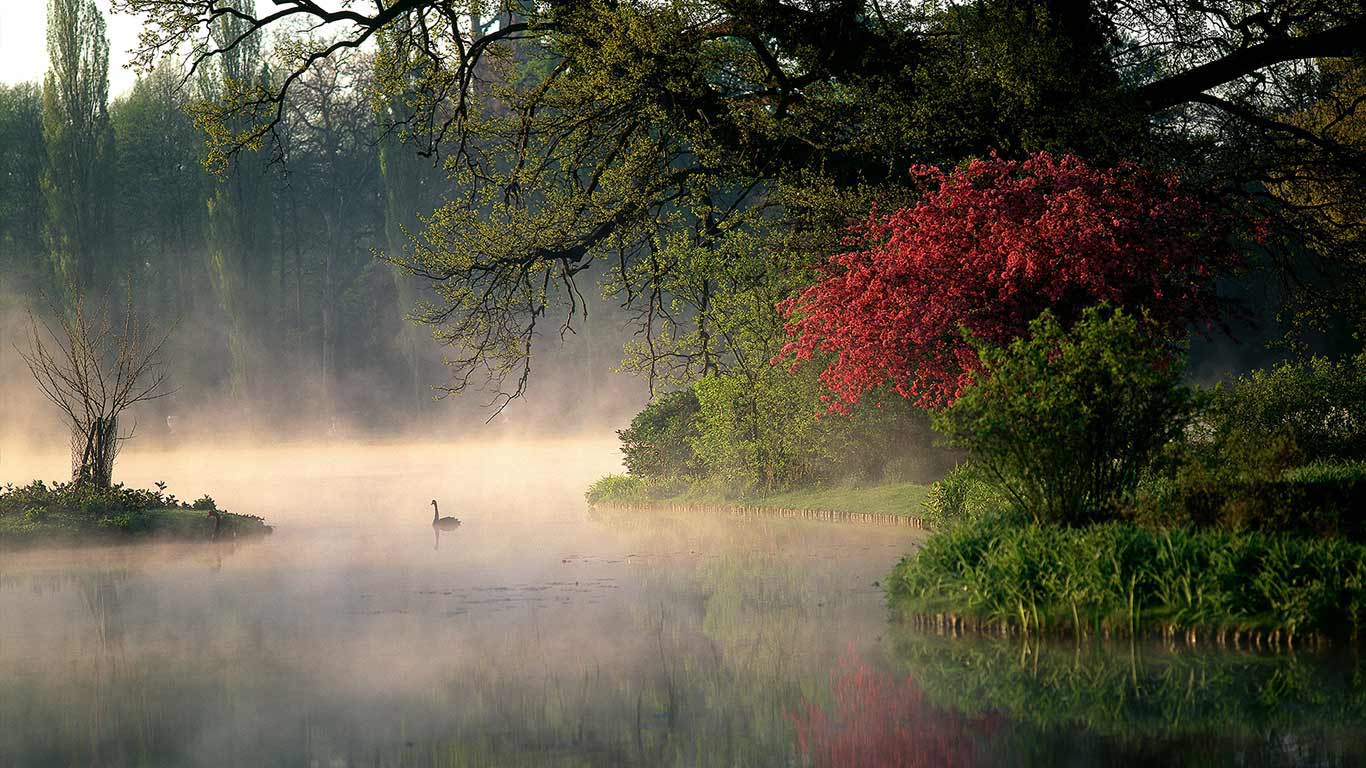 Wörlitzer Park, Wörlitz, Germany (© Giovanni Simeone/SIME/4Corners)(Bing United Kingdom)