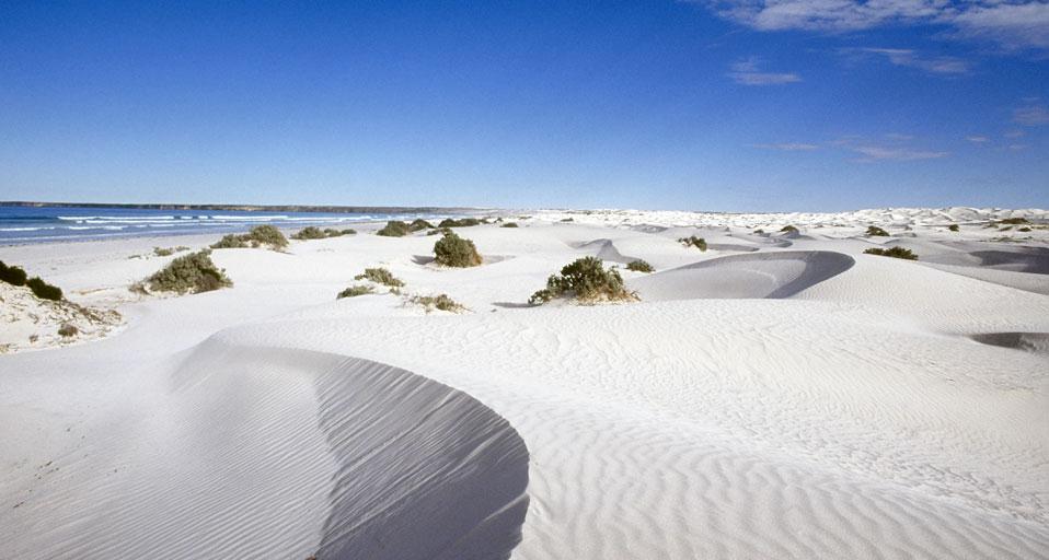 Coombra sand dunes, Head of Bight, Eyre Peninsula, Australia (© Benedetta Rusconi/4Corners)(Bing Australia)