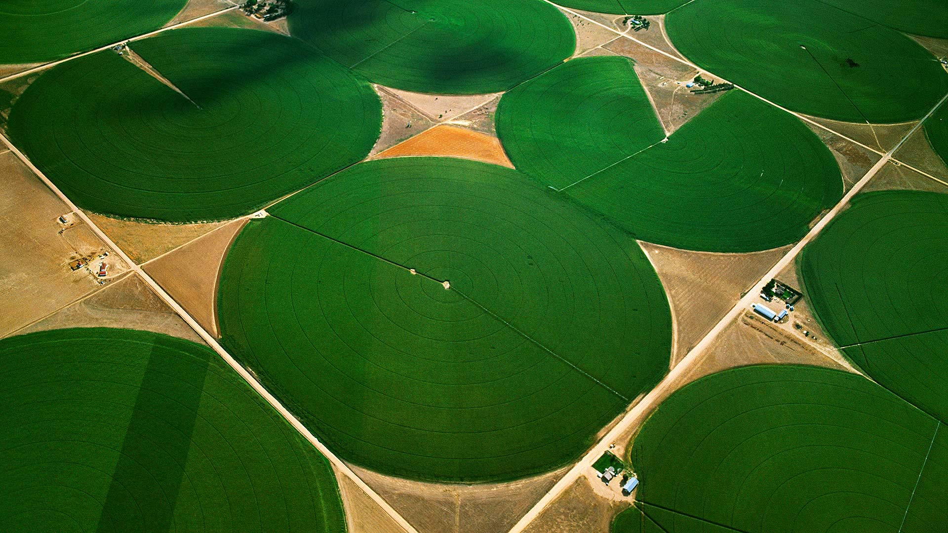 Circular agricultural fields in Morgan County, Colorado, USA (© Jim Wark/Getty Images)(Bing United Kingdom)