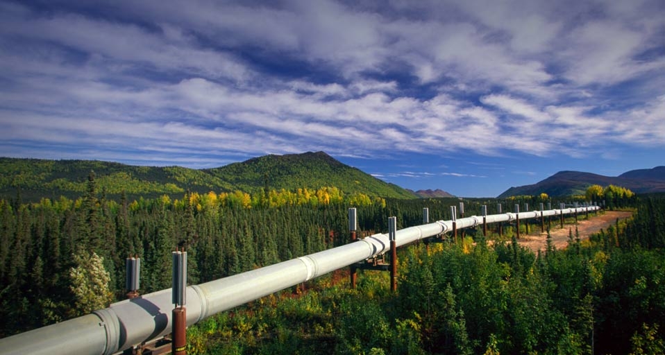 The Alaska Pipeline next to the Dalton Highway in Alaska -- Michael Melford/Getty Images &copy; (Bing Canada)