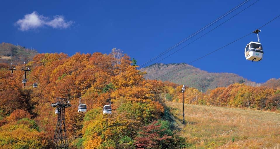 ｢栂池自然園｣長野, 小谷村 (© JTB Photo/ageFOTOSTOCK) &copy; (Bing Japan)