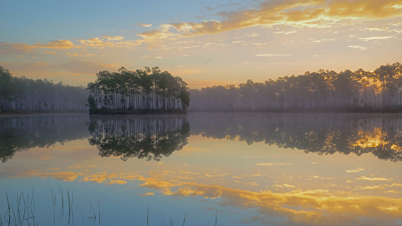 Long Pine Key in Everglades National Park, Florida (© Tandem Stills + Motion)(Bing United Kingdom)