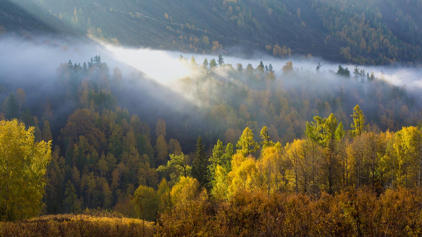 [今日秋分] 新疆，阿勒泰，阳光划过晨雾 (© Allensima/Getty Images)(Bing China)