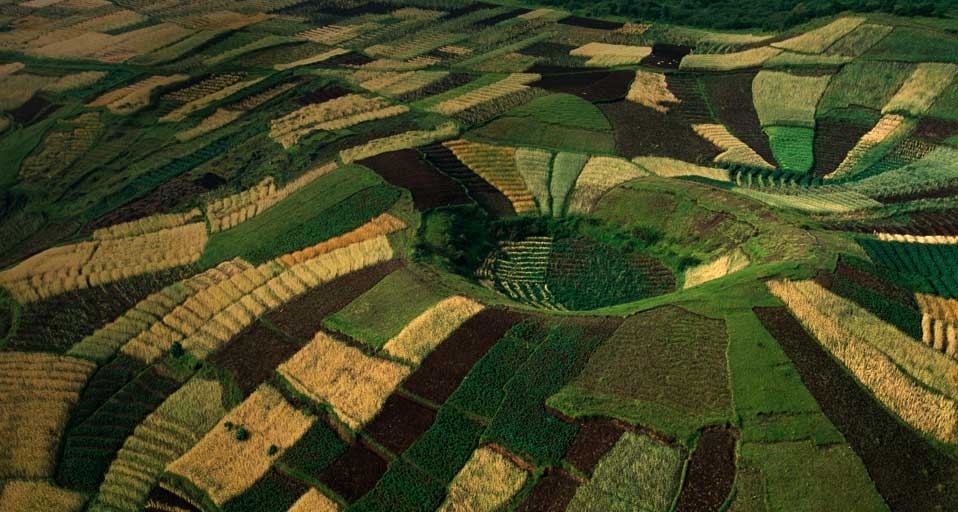 Terraced fields of wheat climb the slopes of a small volcano near the Virunga Mountains in Rwanda -- George Steinmetz/Corbis &copy; (Bing United Kingdom)
