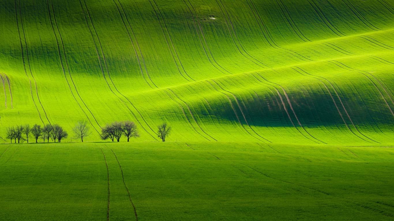 South Moravian landscape near Kyjov, Czech Republic (© Tomas Vocelka/500px)(Bing United Kingdom)