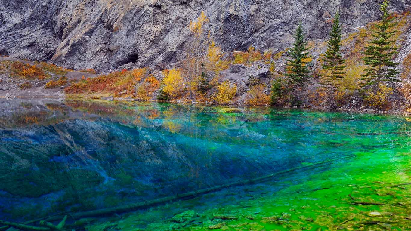 Blue and Green algae in the clear water of Grassi Lakes, near Canmore, Alberta, Canada (© Gaertner/Alamy)(Bing United Kingdom)