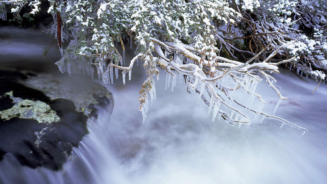Thredbo River in Kosciuszko National Park, Australia (© Ted Mead/Getty Images)(Bing Australia)