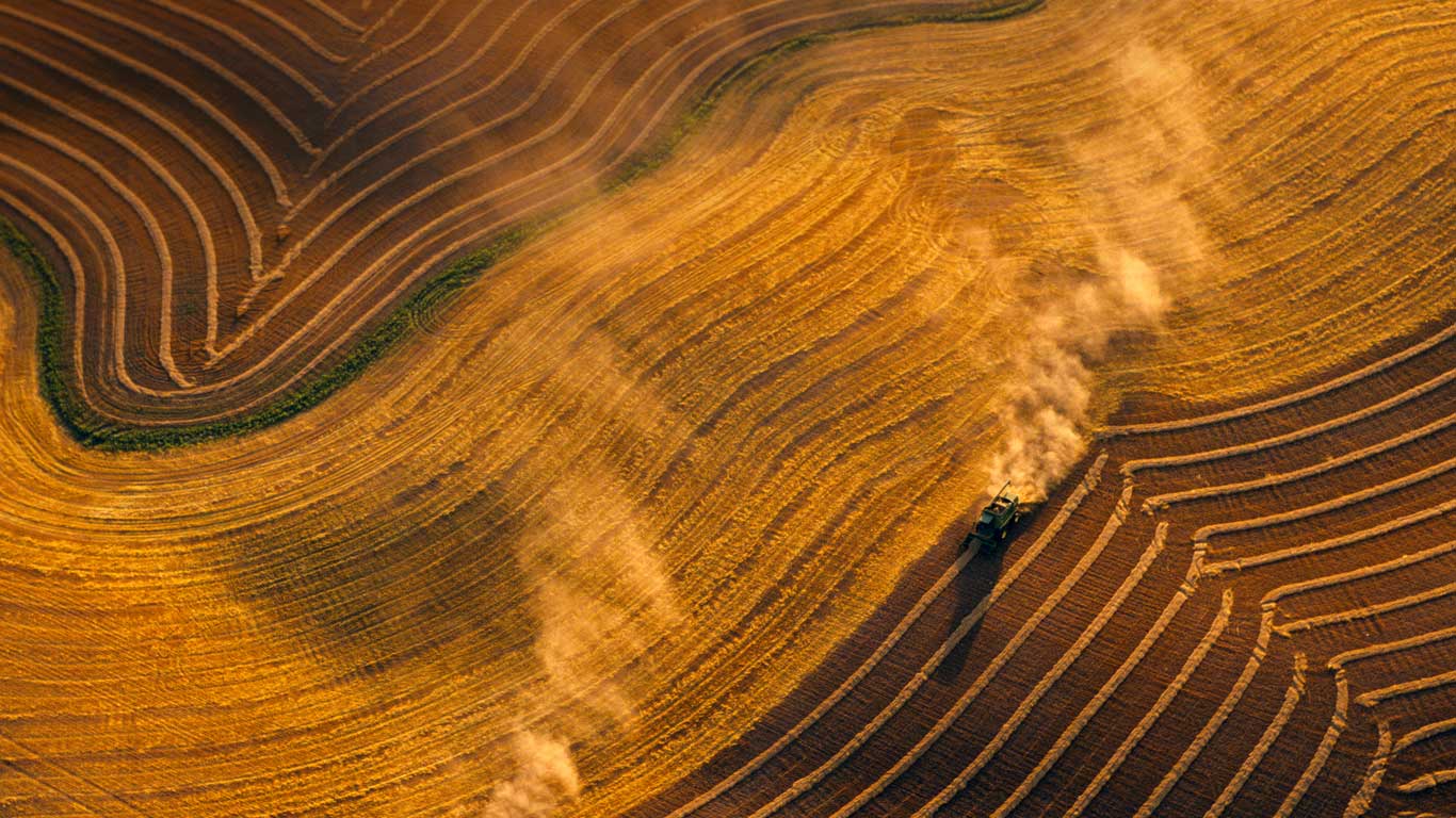 Combines harvesting wheat near  Jamestown, North Dakota (© Richard Hamilton Smith/Gallery Stock)(Bing Canada)
