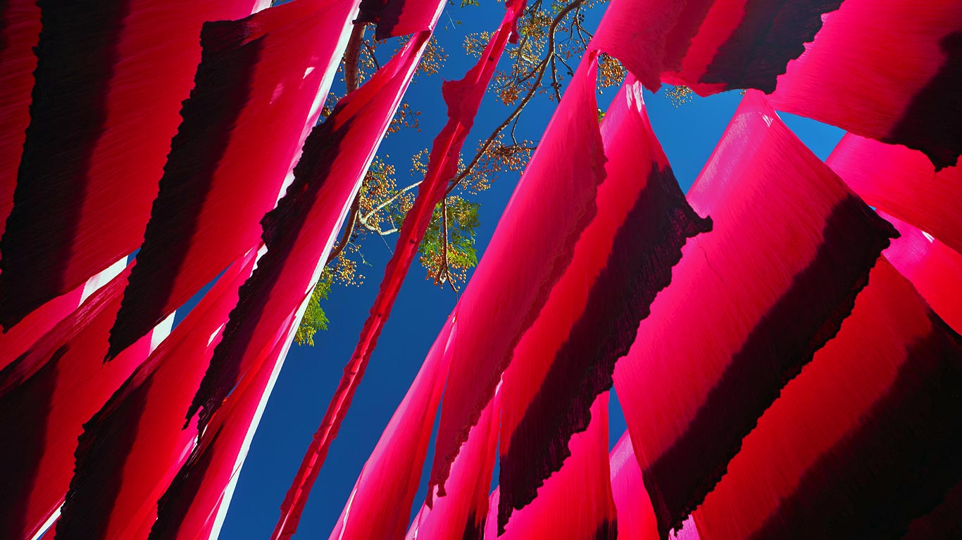Dyed silk hanging to dry in Marrakech, Morocco (© David Noton Photography/Alamy)(Bing United Kingdom)