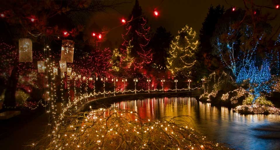 Holiday lighting in Japanese Maple and other trees at the VanDusen Botanical Garden Festival of Lights in Vancouver, B.C., Canada -- Mark Turner/age fotostock &copy; (Bing Canada)