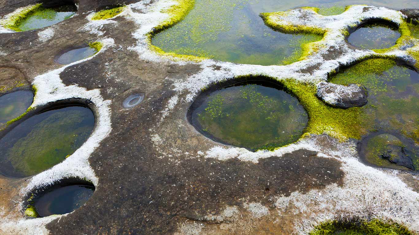 Natural potholes eroded by wave action and gravel near Owen Point, West Coast Trail, British Columbia, Canada (© GoodMood Photo/Shutterstock)(Bing Canada)