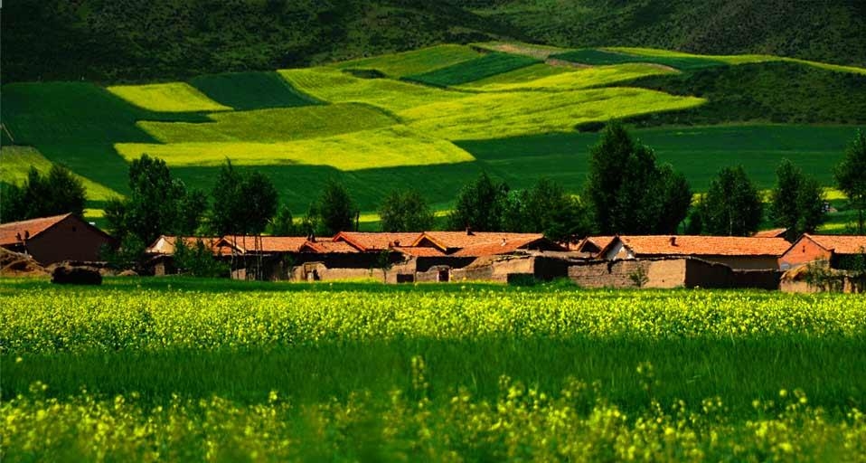 被油菜田和小麦田包围的中国村庄 (© MelindaChan/Flickr/Getty Images) &copy; (Bing China)