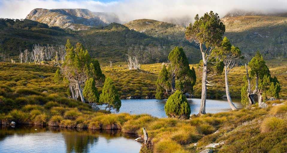 Mountain tarns ringed with pencil pines on Cradle Mountain-Lake St. Clair National Park, Tasmania, Australia (© Paul Sinclair/Alamy) &copy; (Bing Canada)