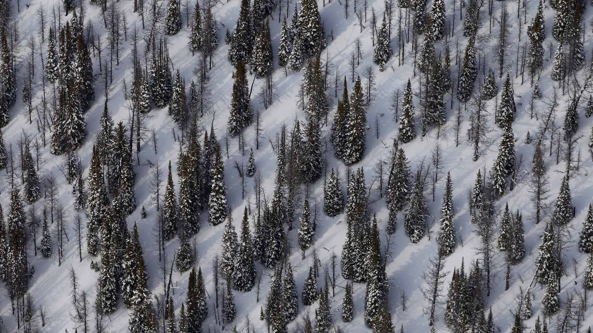 Mount Goodsir and surroundings in Yoho National Park, B.C. (© Peter Essick/Cavan Images)(Bing Canada)