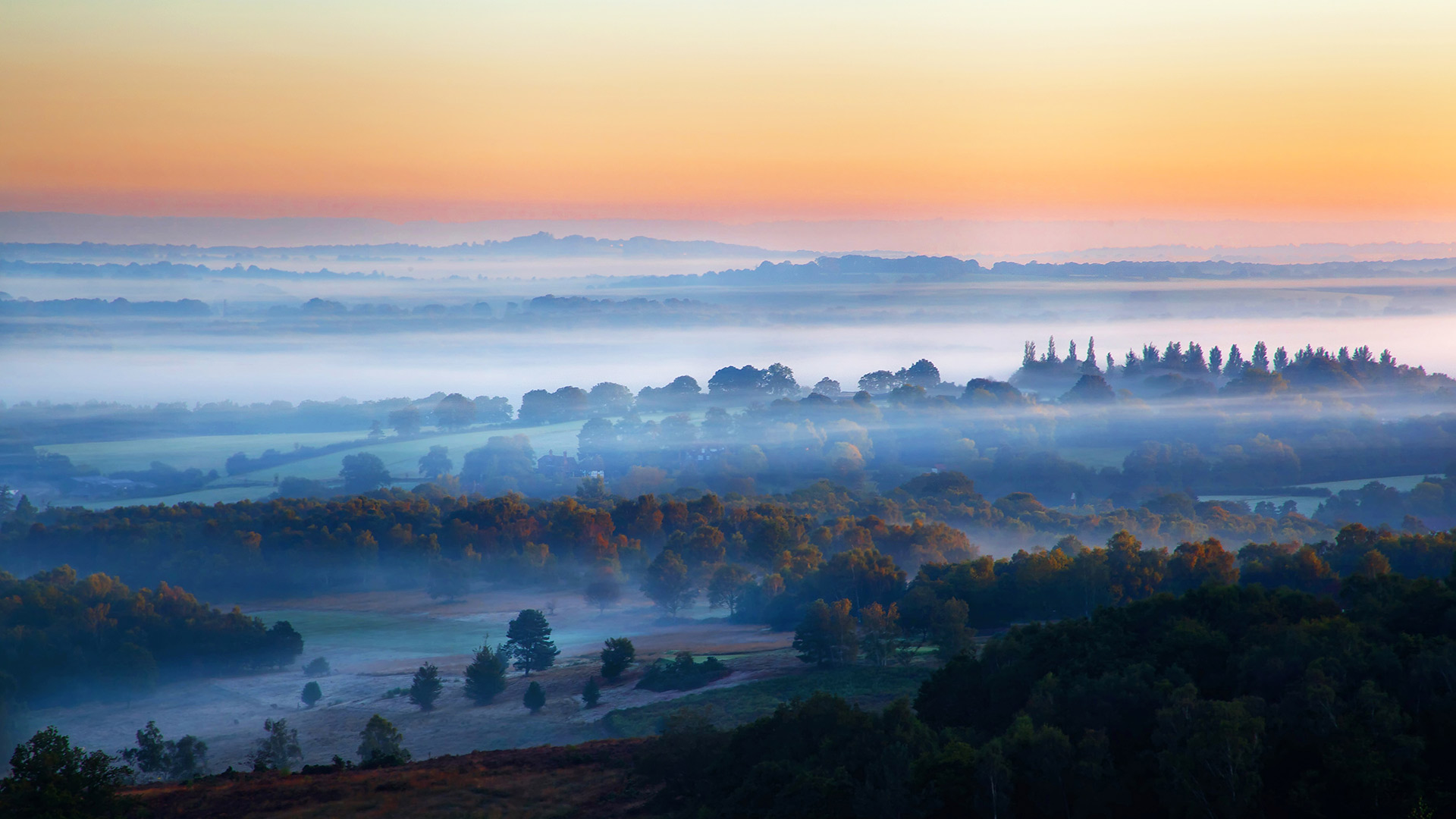 Lever de soleil embrumé dans la forêt d’Ashdown , Sussex, Angleterre (© Tim Stocker Photography/Getty Images)(Bing France)
