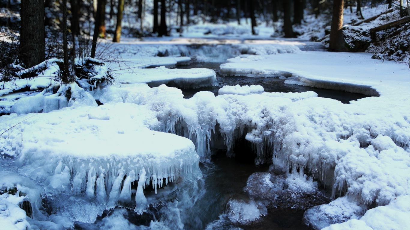 Icy creek in Bavarian Forest National Park, Germany (© Bernadette Schoeller/Getty Images)(Bing United Kingdom)