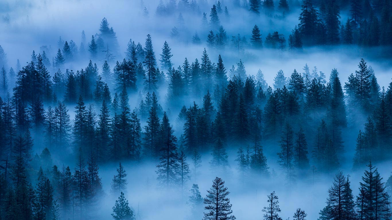 Yosemite National Park, California (© Grant Ordelheide/Tandem Stills + Motion)(Bing United States)