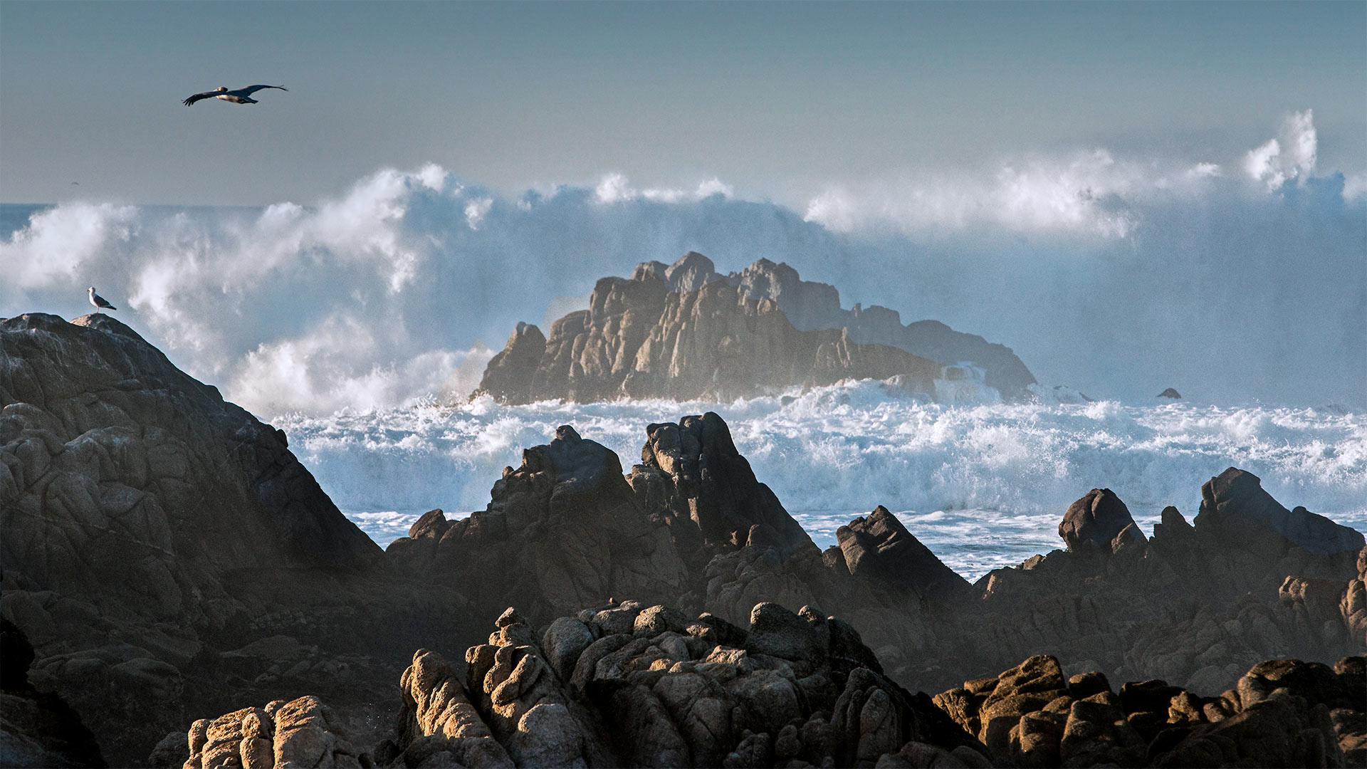 Huge waves crashing on rocks along Asilomar State Beach, California, USA (© Sheila Haddad/Danita Delimont)(Bing United Kingdom)