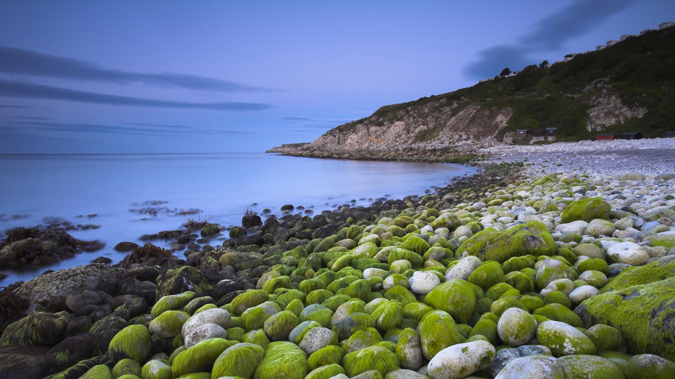 Algae-covered pebbles at Church Ope Cove, Dorset, England (© Adam Burton/Robert Harding World Imagery/Getty Images)(Bing United Kingdom)