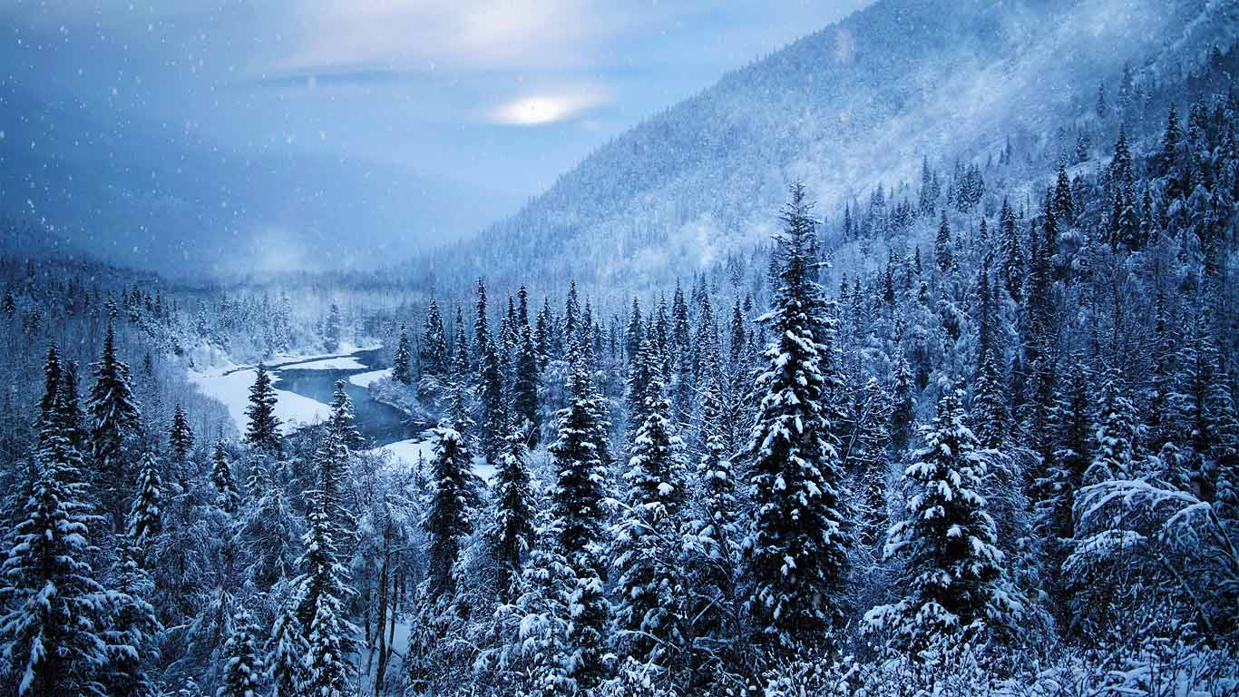 Kenai Peninsula, Alaska, USA (© GeoStills/Alamy)(Bing United Kingdom)