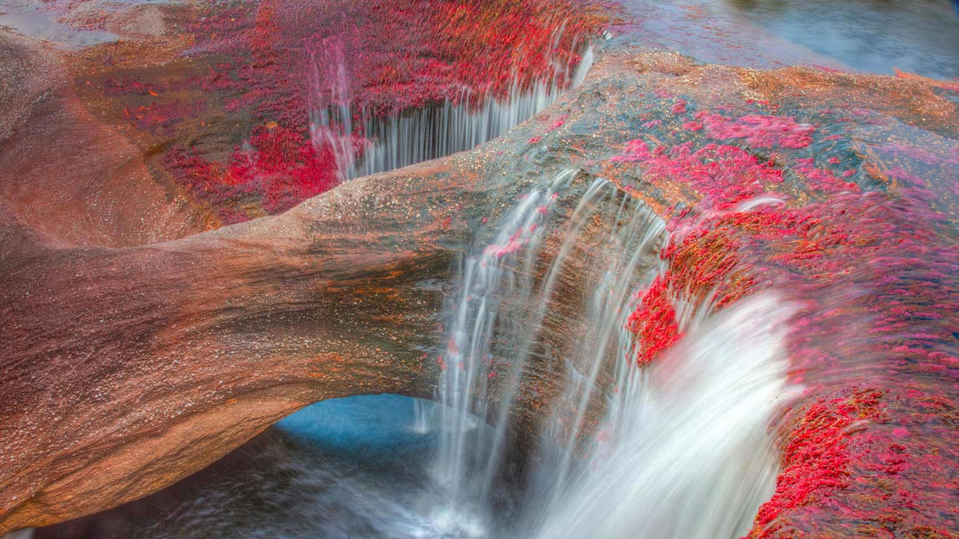 The Caño Cristales River in the Serranía de la Macarena mountains of Colombia (© Tom Till/Alamy)(Bing United Kingdom)