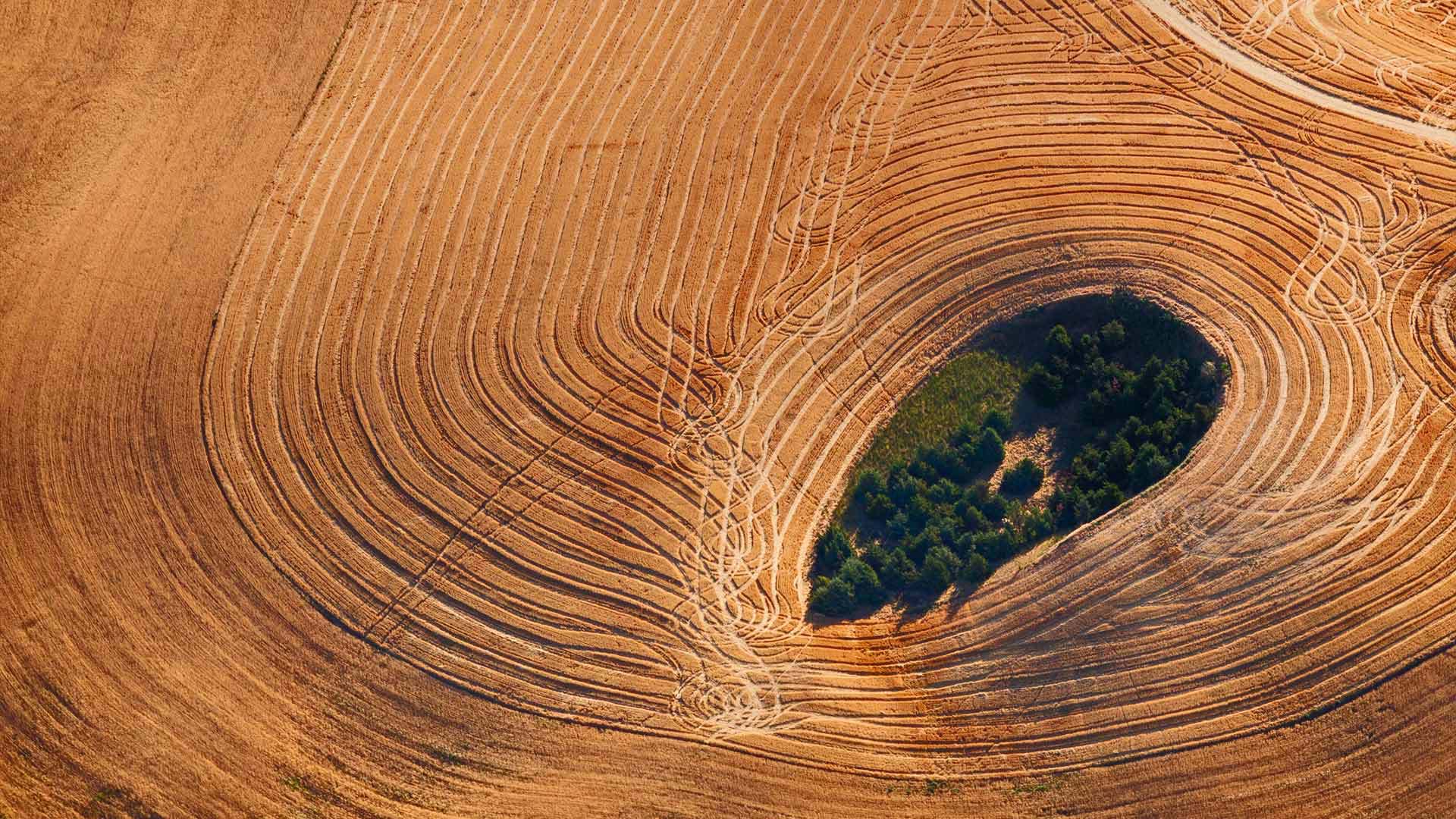 华盛顿州帕卢斯地区的农田 (© Art Wolfe/Getty Images)(Bing China)