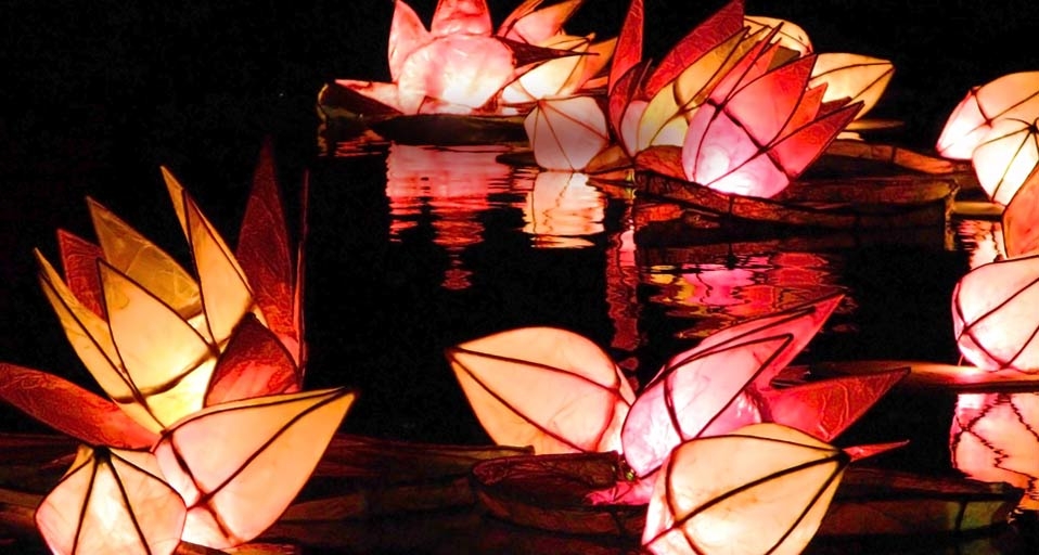 Candlelit lanterns are set adrift during the Diwali celebrations in Trafalgar Square, London (© Darren Lehane/Getty Images) &copy; (Bing United Kingdom)