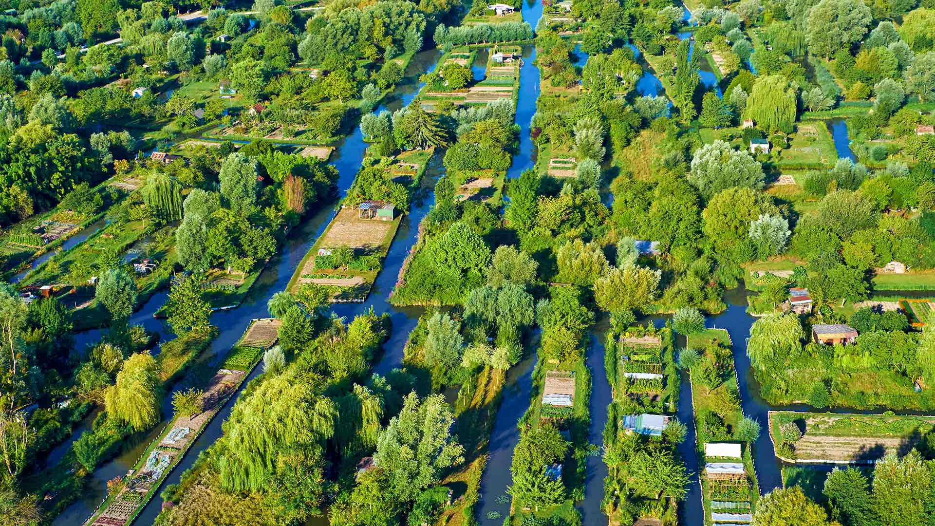 Aerial view of the marsh at Bourges, France (© Tuul & Bruno Morandi/Getty Images)(Bing New Zealand)